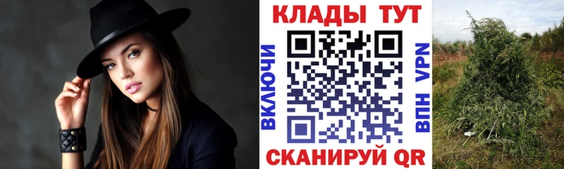 Где купить наркотики Ирбит ГАШИШ  кракен   Меф мяу мяу  КОКАИН 