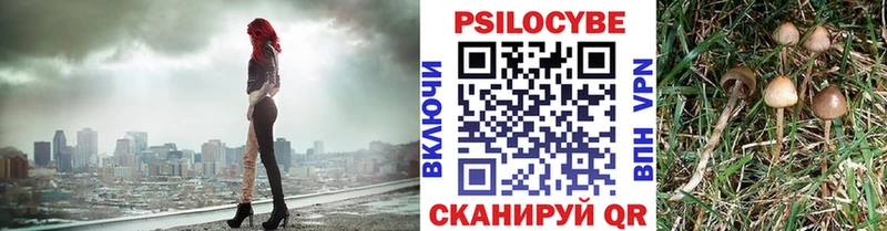 OMG tor  Ирбит  Галлюциногенные грибы Cubensis  где купить  
