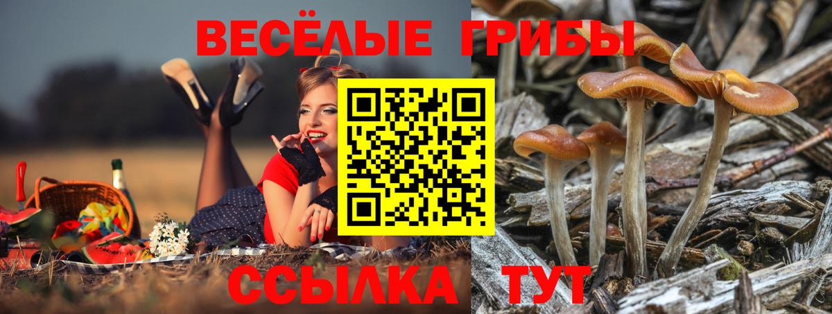 Галлюциногенные грибы Cubensis Ирбит